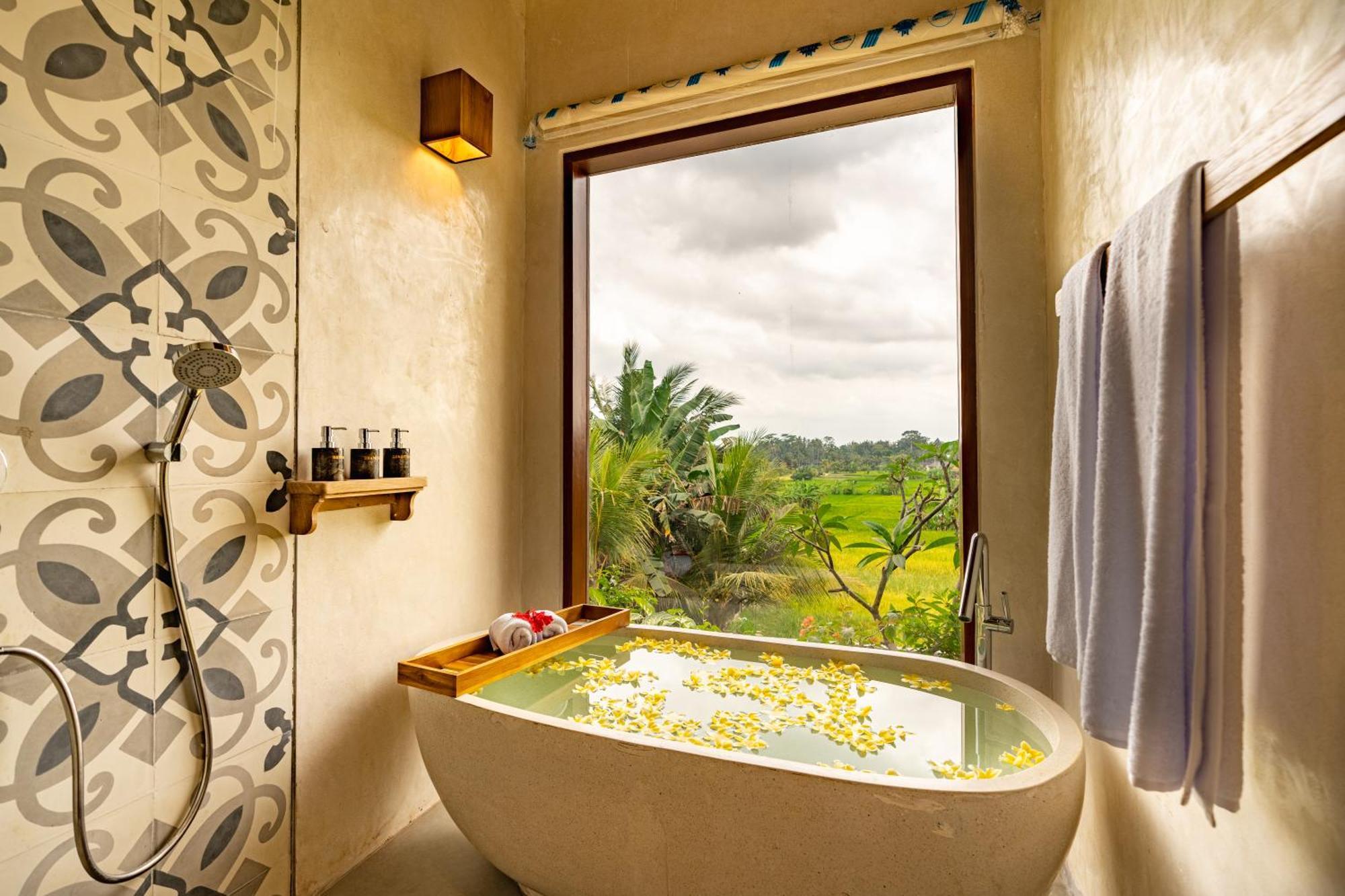 Suite Luxury
